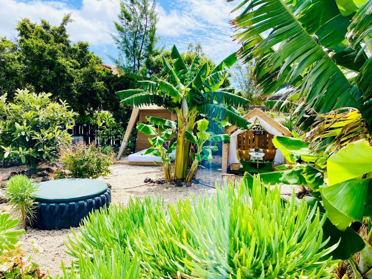 Alisios Hot Tub, Piscina Y Naturaleza Buzanada Екстер'єр фото